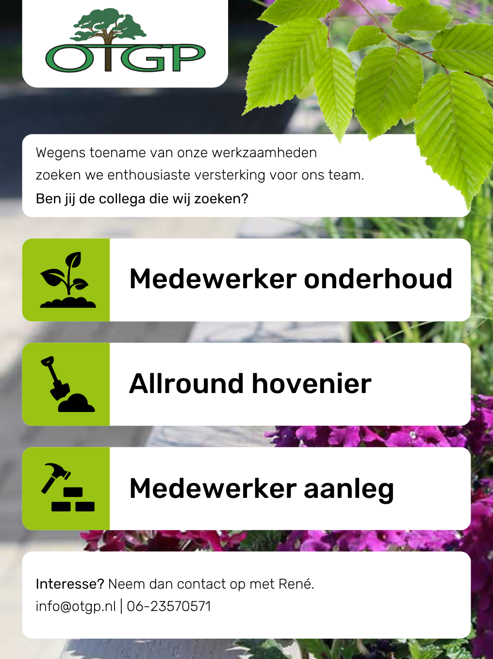 vacature website